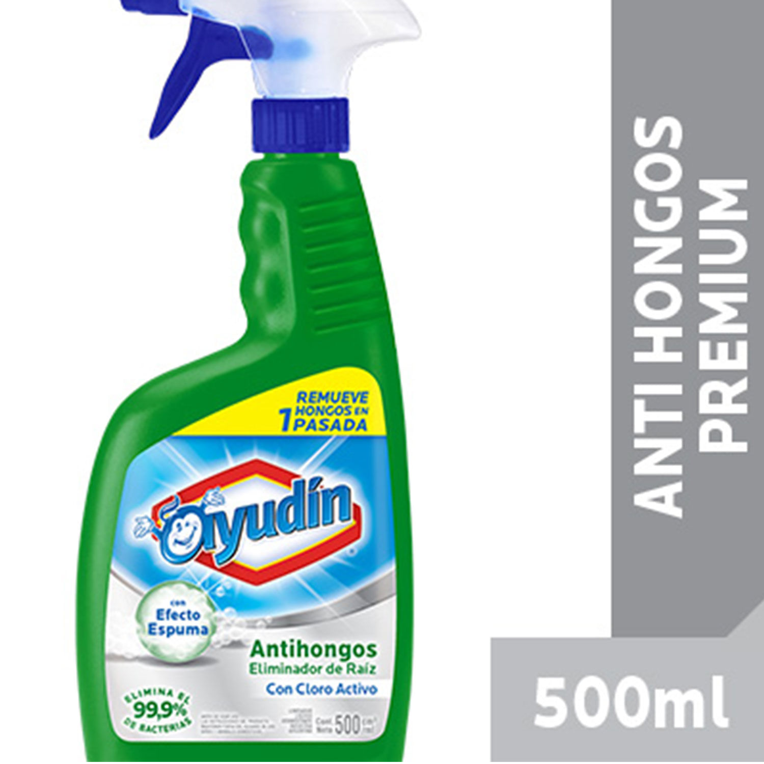 Ayudin antihongos 500 ml