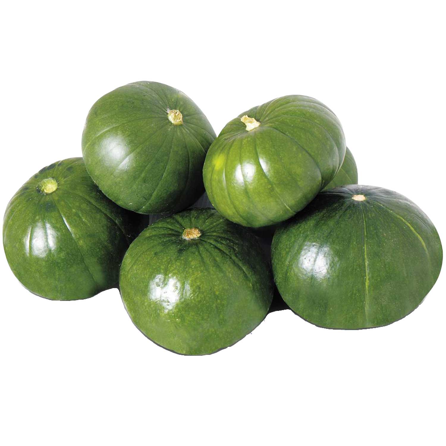 Zapallitos