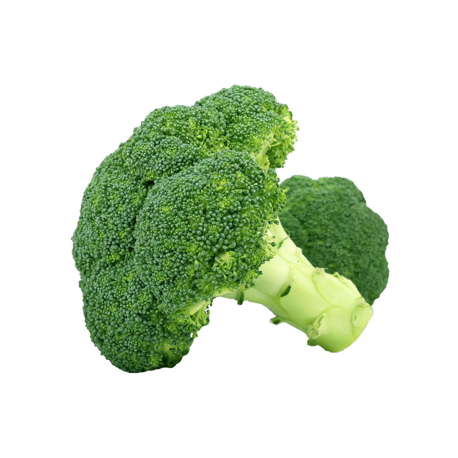 Brócoli