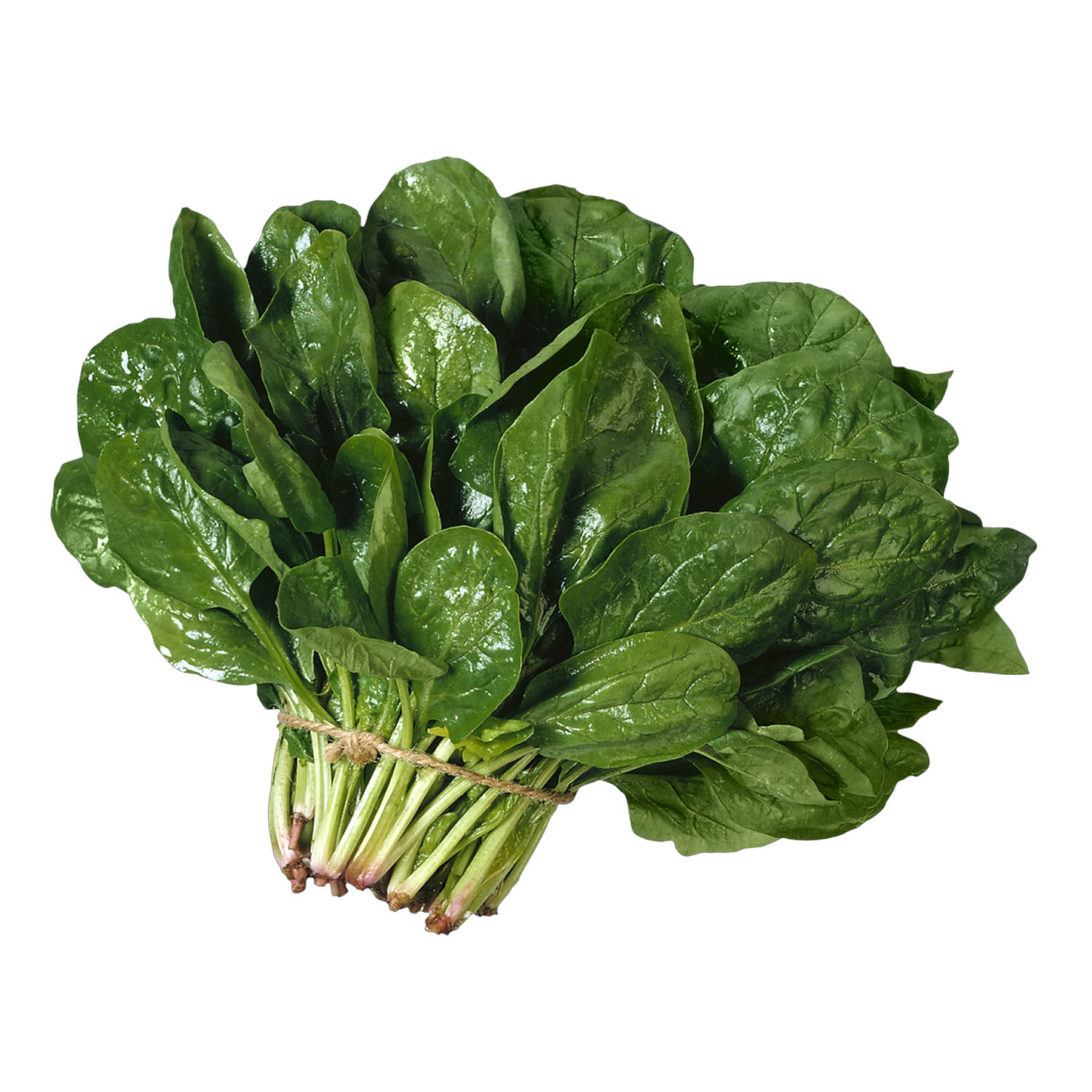 Espinaca
